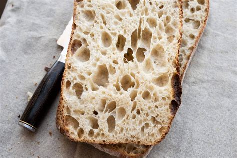 ciabatta starter.